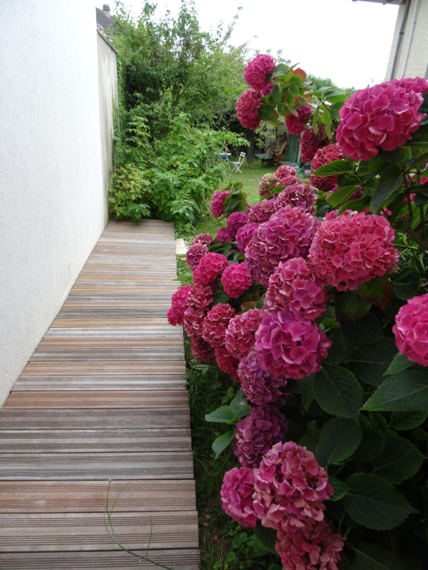 Maison D'Hotes Les Roses Tremieres Saclay Εξωτερικό φωτογραφία